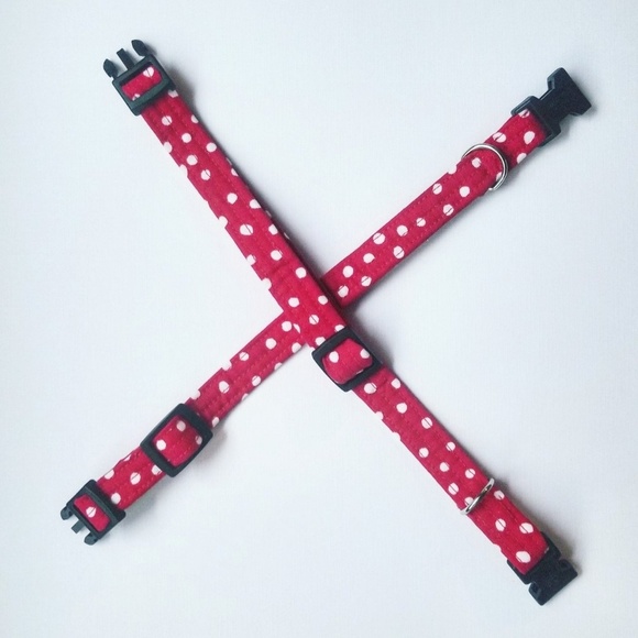 Adorable red and white polka dot collar - Picture 3 of 7